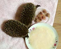 Nur zu Besuch...